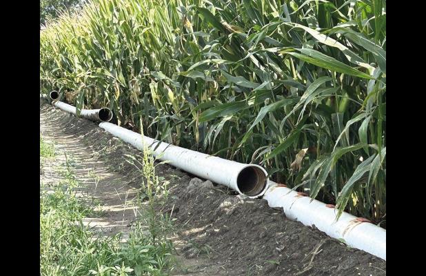 Irrigation pipe has been separated, and center pivots have been shut down in area fields as the growing season is nearing the end. (—photo by Lori Glenn)