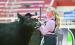 At the Maine-Anjou and Chianina Junior National Show recently held at Fonner Park in Grand Island, Wood River’s Riley Codner earned Fifth Overall Intermediate Maine-Anjou Showman. (—courtesy photo)