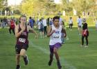 Eagle harriers run at conference meet