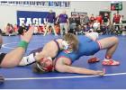 The highs and lows of Wrestling