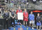 Daniel Escandon State wrestling meet ends with Escandons on the medal stand