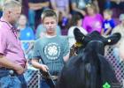 Johnathan Pope, of Shelotn, exhibited the champion Gelbvieh breeding heifer at the Buffalo County Fair held in Kearney recently. He also had the reserve champion lottery pig and was the reserve champion lottery pig exhibitor. Johnathan Pope, of Shelotn, exhibited the champion Gelbvieh breeding heifer at the Buffalo County Fair held in Kearney recently. He also had the reserve champion lottery pig and was the reserve champion lottery pig exhibitor.