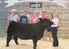 Codner earns Senior Beef Showmanship, Moss Memorial Jacket