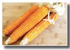 There are more types of corn besides field corn