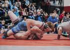 Shelton’s Dominick Larraga gets one of his three pins while winning the 175 pound weight class at Amherst last Saturday. (—courtesy photo) Shelton’s Dominick Larraga gets one of his three pins while winning the 175 pound weight class at Amherst last Saturday. (—courtesy photo)