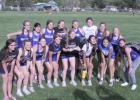 Bulldogs capture boys and girls TVC titles