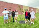 Gibbon Spanish 4, FBLA students plant trees around GPS campus