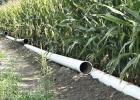 Irrigation pipe has been separated, and center pivots have been shut down in area fields as the growing season is nearing the end. (—photo by Lori Glenn) Irrigation pipe has been separated, and center pivots have been shut down in area fields as the growing season is nearing the end. (—photo by Lori Glenn)
