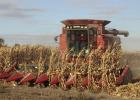 Fall harvest is in full swing across the region