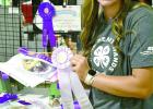Allie Johnson earned Senior Reserve Champion in pies - blueberry apple.