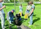 City of Gibbon employee Jason Blausey helps plant one of ten trees in Davis Park along with Gibbon Public School’s Nursery Management class members. (–courtesy photo) Article Image Alt Text