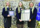 Sarah Frear (left) was selected to receive the DeKalb Accomplishment Agricultural Award at the Wood River FFA banquet which was presented by Matilda Green (center) and Rylee Codner. (–courtesy photo)