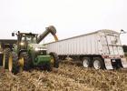 Nebraska Corn reminds those traveling through rural areas to be patient during harvest traffic so everyone gets home safely. (—courtesy photo)