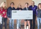 Cargill donates to WRRS science room renovations
