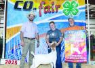 Arabella Rolfsmeyer, of Shelton, received Champion Senior Goat Showman and Reserve Champion Supreme Doe at the Buffalo County Fair recently held in Kearney. She also received Champion Dorset with her yearling dorset ewe, Lu. Miss Rolfsmeyer was named the Arabella Rolfsmeyer, of Shelton, received Champion Senior Goat Showman and Reserve Champion Supreme Doe at the Buffalo County Fair recently held in Kearney. She also received Champion Dorset with her yearling dorset ewe, Lu. Miss Rolfsmeyer was named the