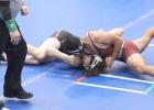 Centura wrestlers in top five of tourney