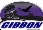 Sales tax decision put on ballot for Gibbon voters