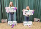 Andrews sisters bring home purples from Buffalo County Fair