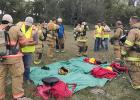 Members of Fire Departments